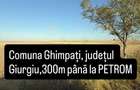 Ghimpati, jud. Giurgiu, 300 m pana la sens giratoriu, benzinaria Petrom - 2