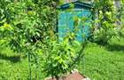 Casă cu 2 camere cu Teren 500 Mp în Ciolpani - 7
