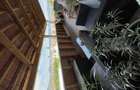 Vand apartament 4 camere cu terasa - 9