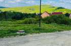 Teren intravilan 704 mp Talmaciu (Armeni) utilita?i, drum, priveliste - 9
