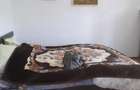 Casă cu 3 camere cu Teren 1000 Mp în Central - 13