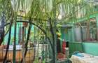 Imobiliare Casa zona Brestei - 5