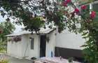 Casă cu 3 camere în Mihăești - 7