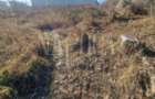 Teren Construcții intravilan de 1600 mp, în Iris - 4