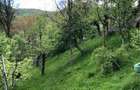 Casă cu 4 camere în Șotrile - 4