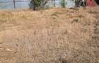 Teren intravilan de 305 mp, în Brătianu - 3