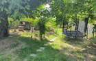 Casa de vanzare la rosu Visan - 3