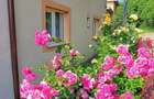Vand casa locuibila in orice moment - 1