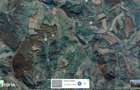 Teren Filipeni, Padure, ID: R2388724 - 2