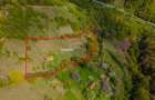 Teren agricol intravilan de 11342 mp, în Poiana Mărului - 2