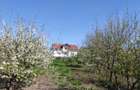 45000 casa batraneasca cu teren total 4000 mp - 5