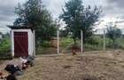 Casă individuală cu 2 camere cu Teren 4298 Mp în Diosig - 8 Casă individuală cu 2 camere cu Teren 4298 Mp în Diosig - 8