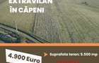 De vanzare teren extravilan in Capeni - 1