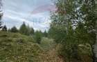 Teren extravilan parcelabil Călățele Pădure, zona Dealu Negru - 6