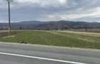 Teren de 3145 mp, în Mănăstirea Cașin - 5