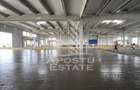 Spațiu industrial, de 523 mp, în Sânandrei - 5