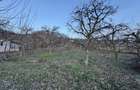 Casa de vanzare sat Suduleni (Izvoarele) , Dambovita (Targoviste) - 1
