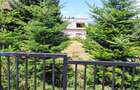 Oferta de vanzare teren si casa in judetul Cluj, comuna Belis, sat Belis - 4