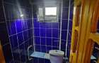 Apartament cu 3 camere decomandat în Nicolina - 7