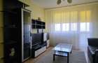 Apartament 2 camere de inchiriat spa?ios, vedere frumoasa, stradal - 12