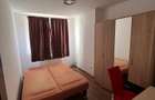 Apartamen de inchiriat Satu Mare - 5