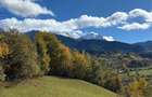 Vand teren in Bran-Sohodol - 8