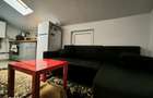 Apartament fain (living-bucatarie, dormitor) zona Auchan Iris - 9