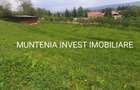 Proprietate de vanzare tip ferma, teren 28150 mp. Balilesti, Arges - 7