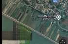 Teren agricol extravilan arabil comuna Motatei Jud Dolj - 4