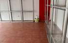 Inchiriez spatiu comercial zona pacea - 2