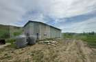 Hala, 230mp , zona Sud - 4