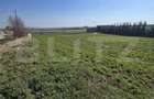 Teren intravilan, 900 mp, zona Luna - Luncani - 3