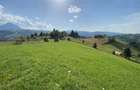 Teren intravilan de 3791 mp, în Poiana Mărului - 6