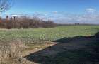 Teren Construcții de 17000 mp, în Ghighiu - 3