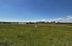 Teren agricol de vanzare, 400 mp, zona linistita - 5