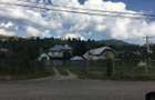 1 Ha Intravilan Premium | Sadova Campulung Moldovenesc | Bucovina - 2