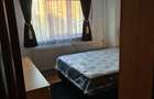 Apartament cu 2 camere semidecomandat în Dristor - 3