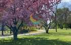 Vanzare duplex 4 camere Parcul Tineretului vedere superba 183 mp - 5