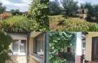 Cota de 1/2 din casa si teren loc. Barcea Mare, Jud. Hunedoara, - 2