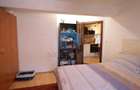 Apartament cu 2 camere decomandat în Grigorescu - 5
