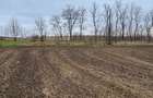 Teren Dorohoi - 23000 mp - Sau - Parcele 1000mp, 900mp, 1500mp, etc. - 1