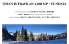 Teren intravilan 4.000 mp FUNDATA | vedere Piatra Craiului | proiect | - 2