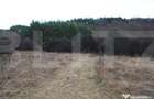 Teren intravilan, 1539 mp, zona Aapp, Faget - 2
