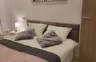 Apartament cu 2 camere decomandat în Parcul Carol - 4