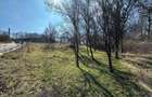 Teren de 828 mp, în Curăturile - 6