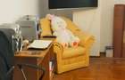Apartament cu 2 camere decomandat în Central - 2