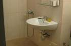 Apartament cu o camera Take Ionescu - 8