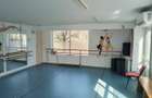 Spatiu Birouri Metalurgie - 5