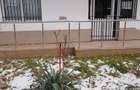 Spatiu comercial parter, 70mp - 1