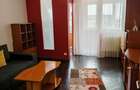 Garsoniera Calea Bucuresti, zona Astra, 30 mp, mobilata si utilata, 300 euro - 3